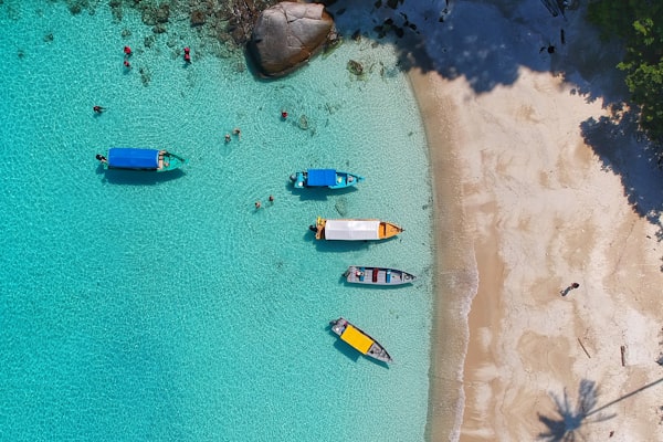 潜水者在清澈的热带海域与鱼群共游，阳光穿透水面